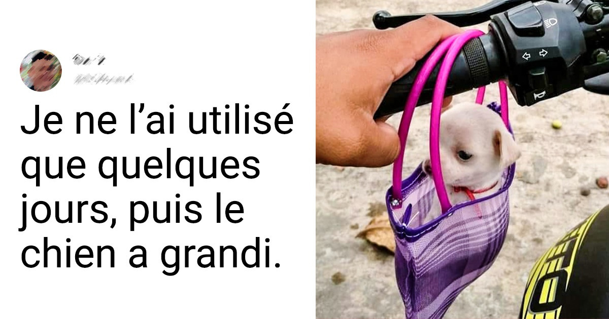 20 Utilisateurs de Sympa révèlent l’objet le plus inutile qu’ils aient jamais acheté dans leur vie 20 Utilisateurs de Sympa révèlent l’objet le plus inutile qu’ils aient jamais acheté dans leur vie