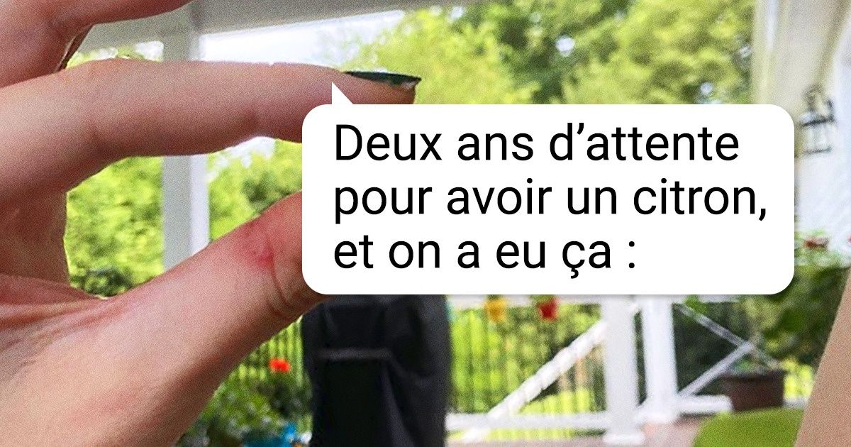 20 Photos de personnes qui ne pourraient probablement pas vivre du métier d’agriculteur