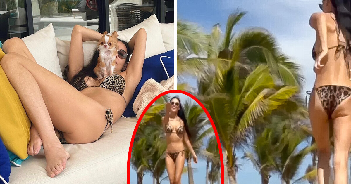 "Les femmes âgées ne devraient pas porter de bikinis", Demi Moore, 61 ans, divise les opinions avec sa dernière vidéo "Les femmes âgées ne devraient pas porter de bikinis", Demi Moore, 61 ans, divise les opinions avec sa dernière vidéo