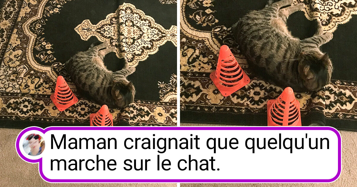 18 Personnes partagent les choses les plus adorables et hilarantes que leurs mamans ont faites