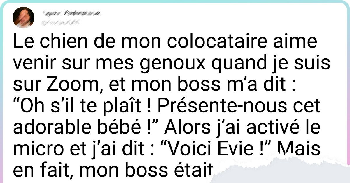 15+ Tweets amusants qui vont égayer ta journée