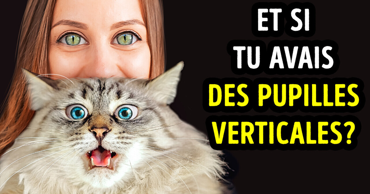 Et si tu Avais les Pupilles Étroites d’un Chat ?