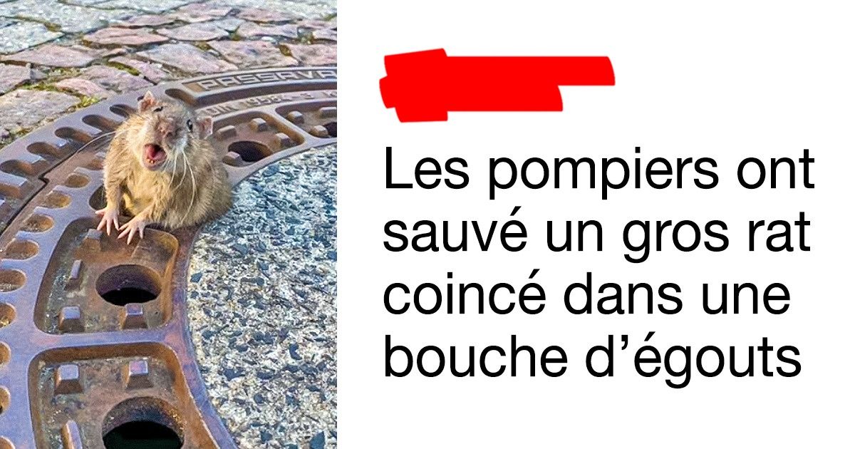 16 Preuves que les véritables héros ne portent pas de cape 16 Preuves que les véritables héros ne portent pas de cape