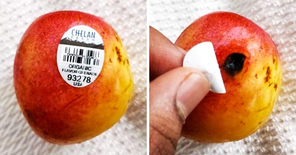 18 Preuves que la vie est pleine de surprises, et qu’elles ne sont pas toujours agréables