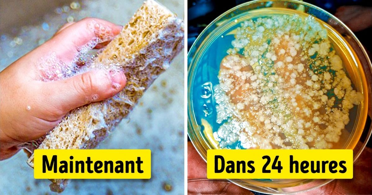 Découvre 10 choses qui sont bien plus sales que ce que nous imaginions