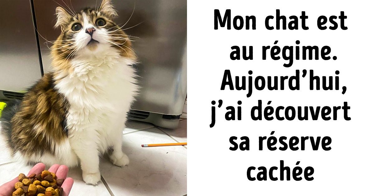 16 Photos d’animaux qui racontent chacune une histoire à part entière