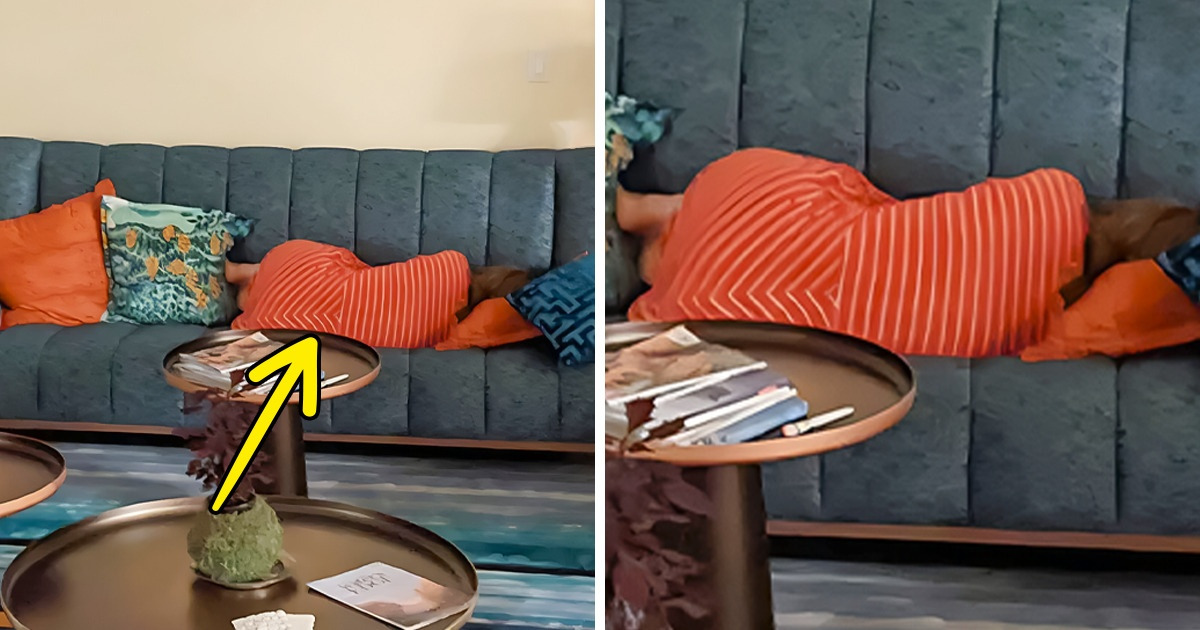 19 Photos qui prouvent que le camouflage peut être un art comme une coïncidence