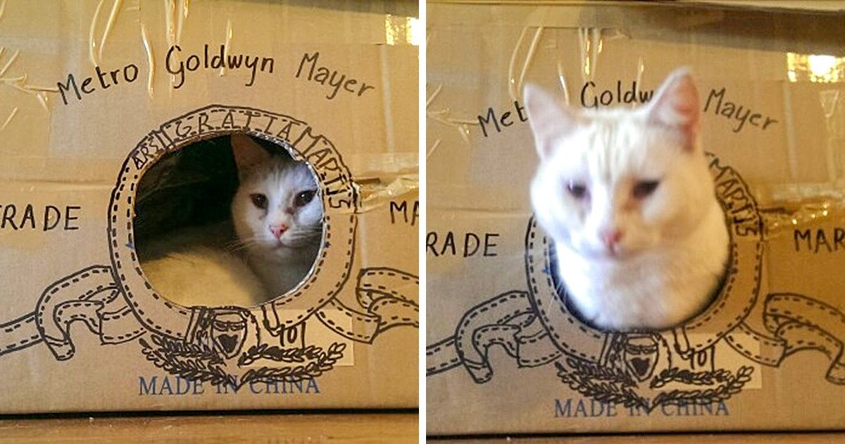 20 Personnes qui sont capables de créer une parodie à partir de quoi que ce soit