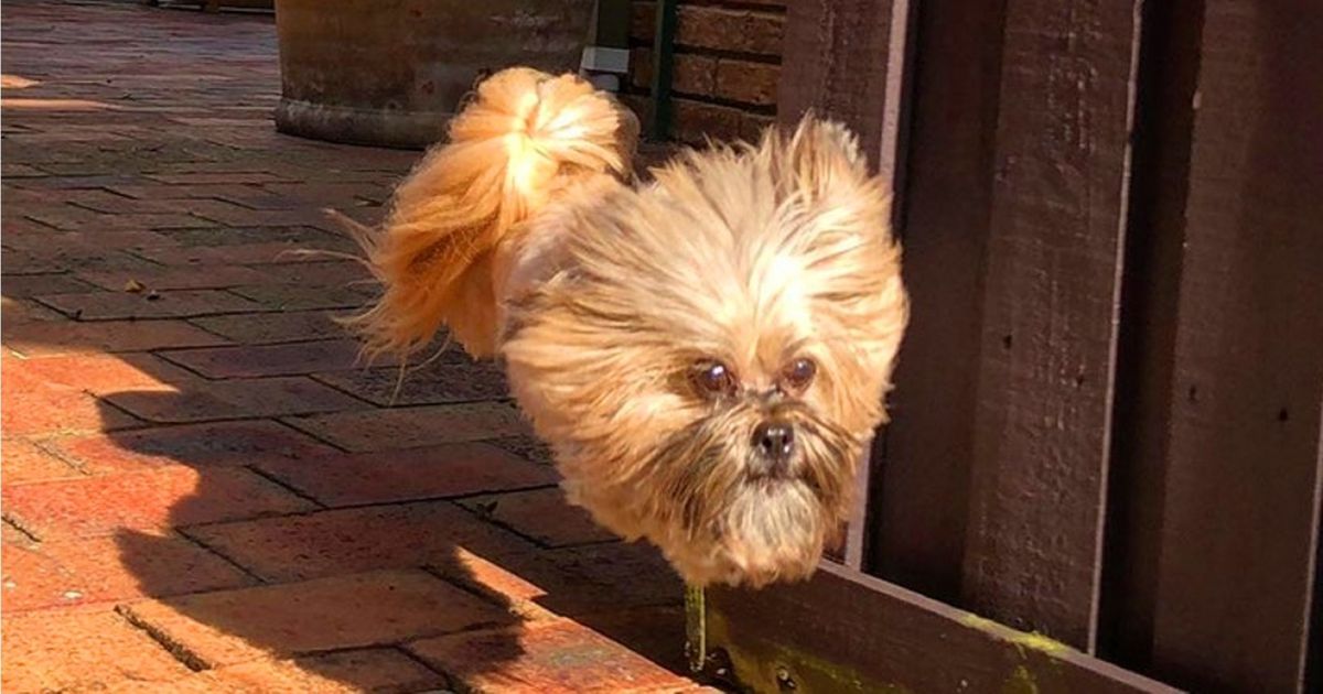 Découvre ces 29 incroyables photos prises au bon moment !