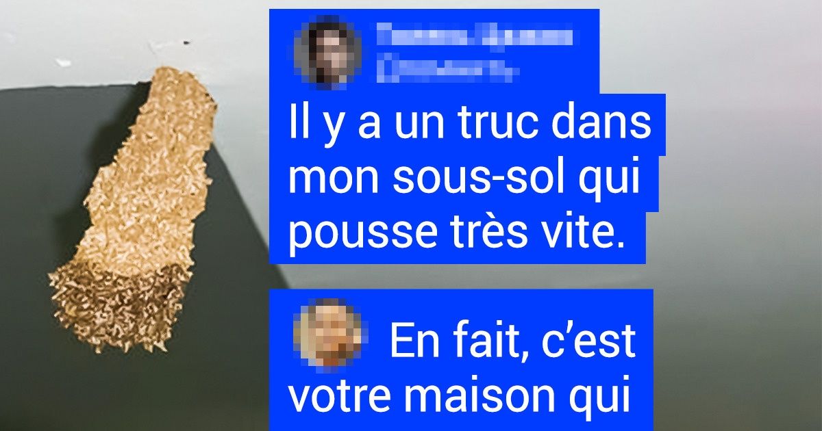 17 Personnes qui échangeraient volontiers leurs problèmes contre les tiens 17 Personnes qui échangeraient volontiers leurs problèmes contre les tiens