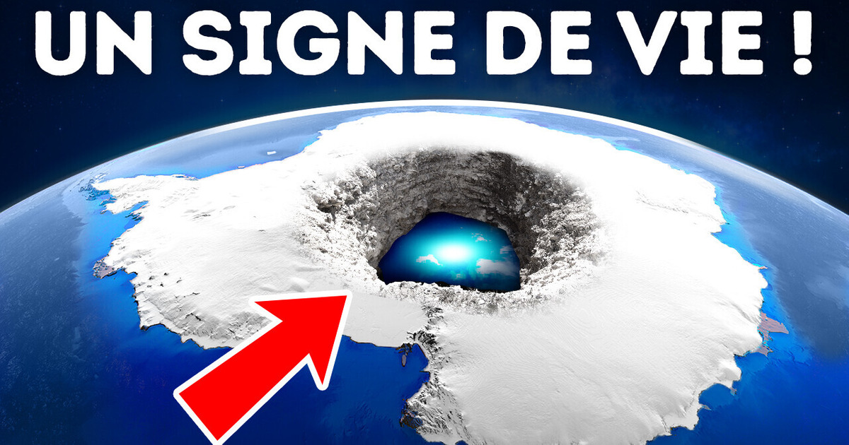 Ils Ont Trouvé Quelque Chose D’incroyable Sous La Glace De l’Antarctique Ils Ont Trouvé Quelque Chose D’incroyable Sous La Glace De l’Antarctique