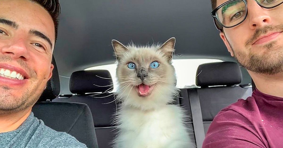 24 Photos qui vont te mettre de bonne humeur