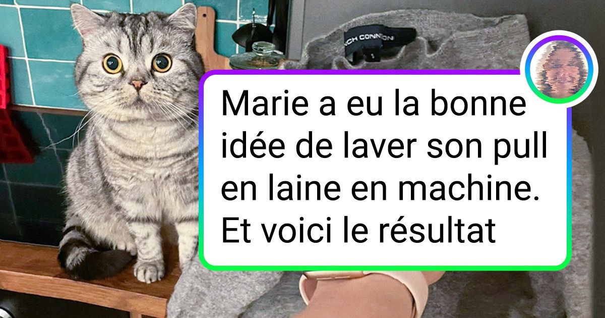 16 Personnes qui ont échoué face aux tâches du quotidien