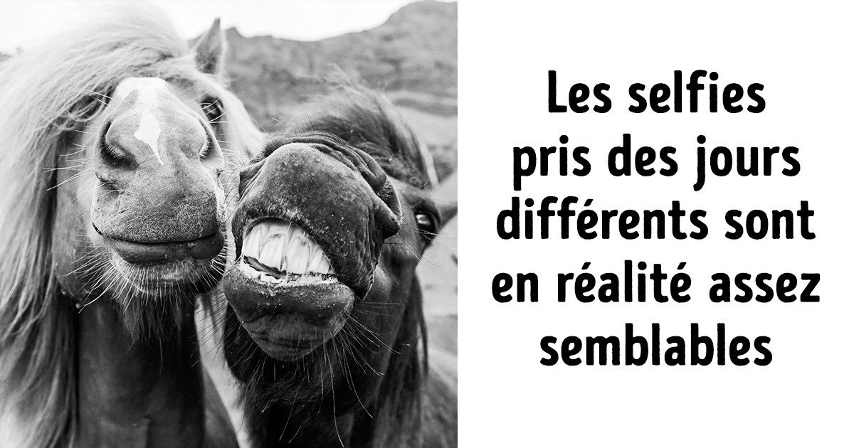 14 conseils qu’on a oublié de donner aux utilisateurs d’instagram 14 conseils qu’on a oublié de donner aux utilisateurs d’instagram