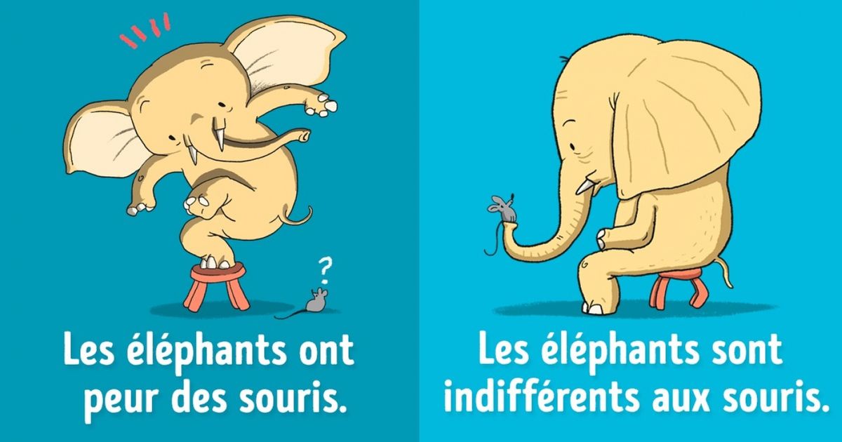 Ces idées reçues sur les animaux sont totalement fausses ! Ces idées reçues sur les animaux sont totalement fausses !