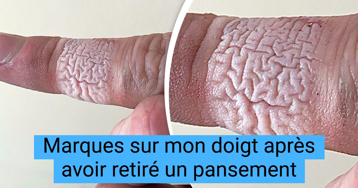 16 Photos d’objets du quotidien sous des angles curieux