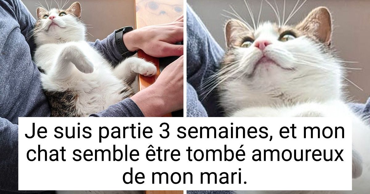 Ces 16 animaux sont si expressifs que leurs maîtres peuvent lire en eux comme dans un livre ouvert