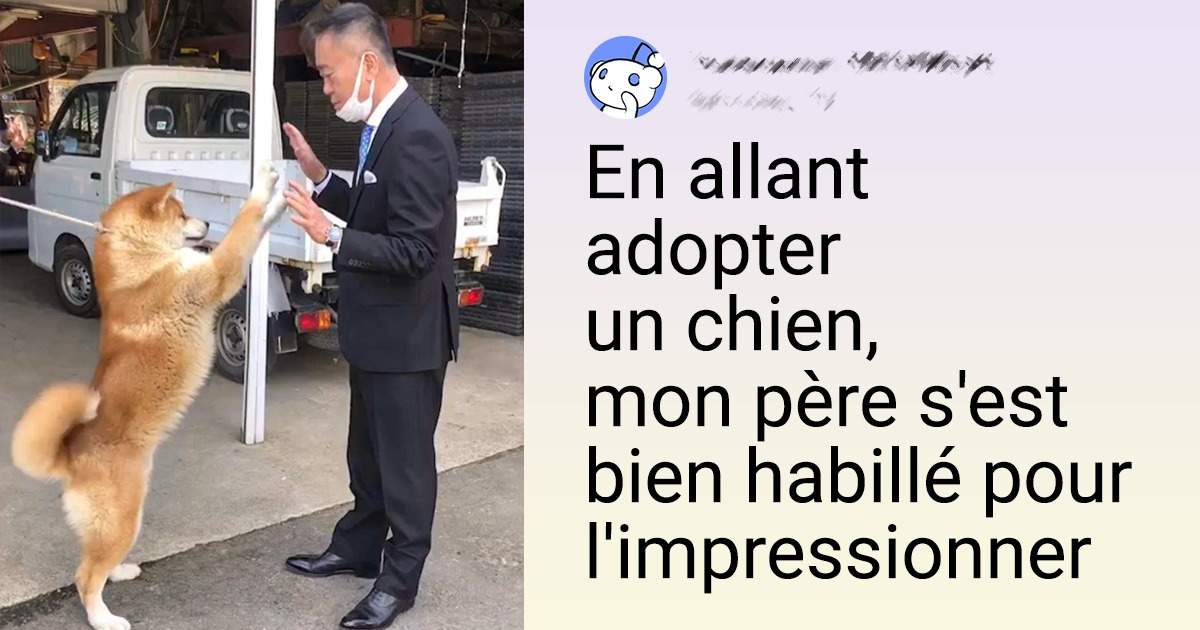 15+ Internautes qui ont voulu agrandir leur famille en adoptant un animal de compagnie