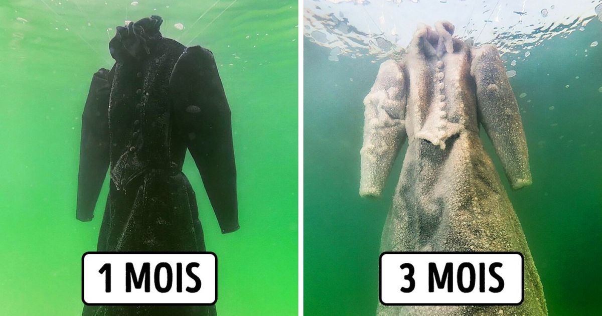 Cette artiste immerge de vieux objets pendant 3 mois dans la mer morte et le résultat est fascinant