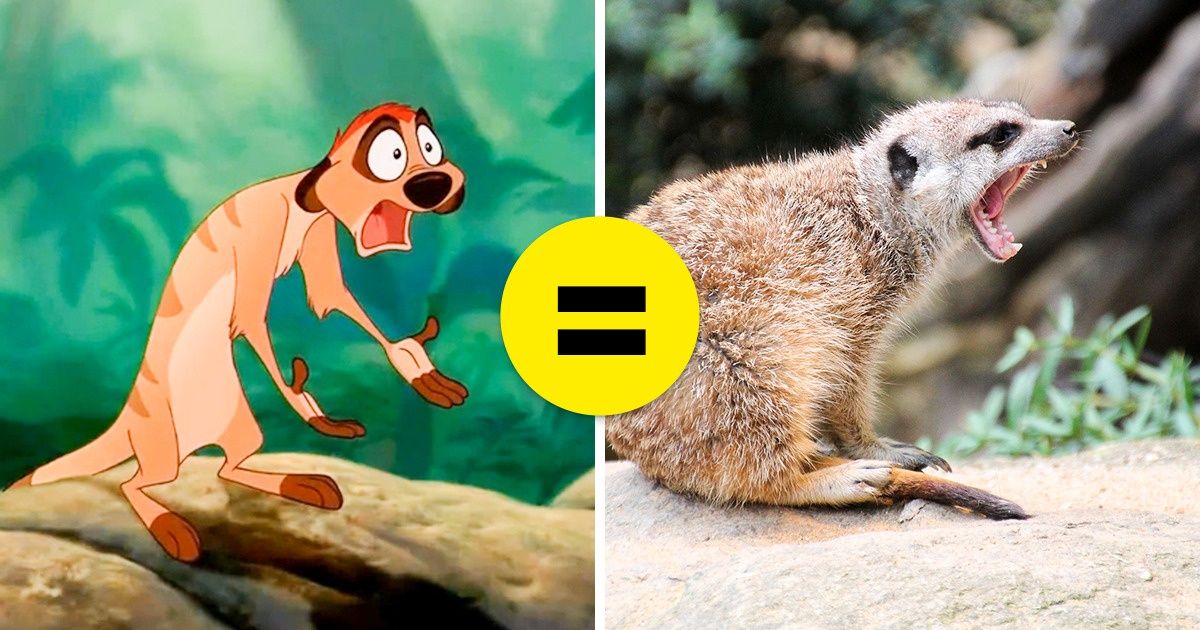 Nous avons comparé 20 personnages de dessins animés avec leurs congénères réels, et voici à quoi ils ressemblent Nous avons comparé 20 personnages de dessins animés avec leurs congénères réels, et voici à quoi ils ressemblent
