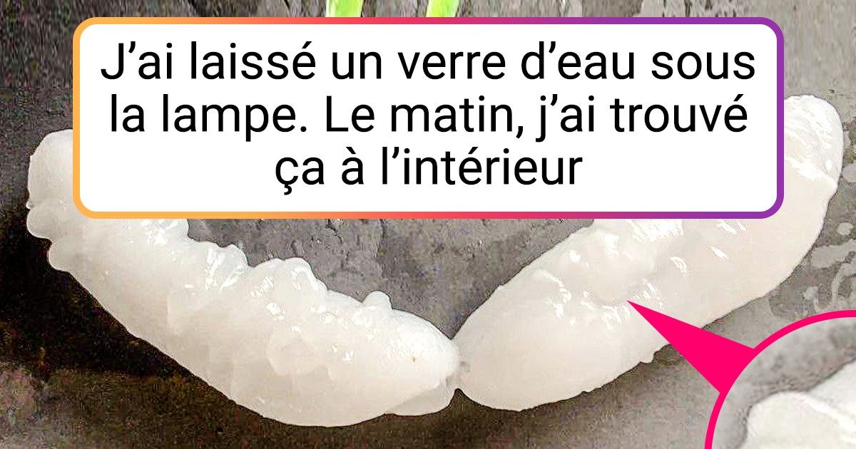 20 Objets dont l’origine et la raison d’être ne sont pas évidentes à déterminer 20 Objets dont l’origine et la raison d’être ne sont pas évidentes à déterminer