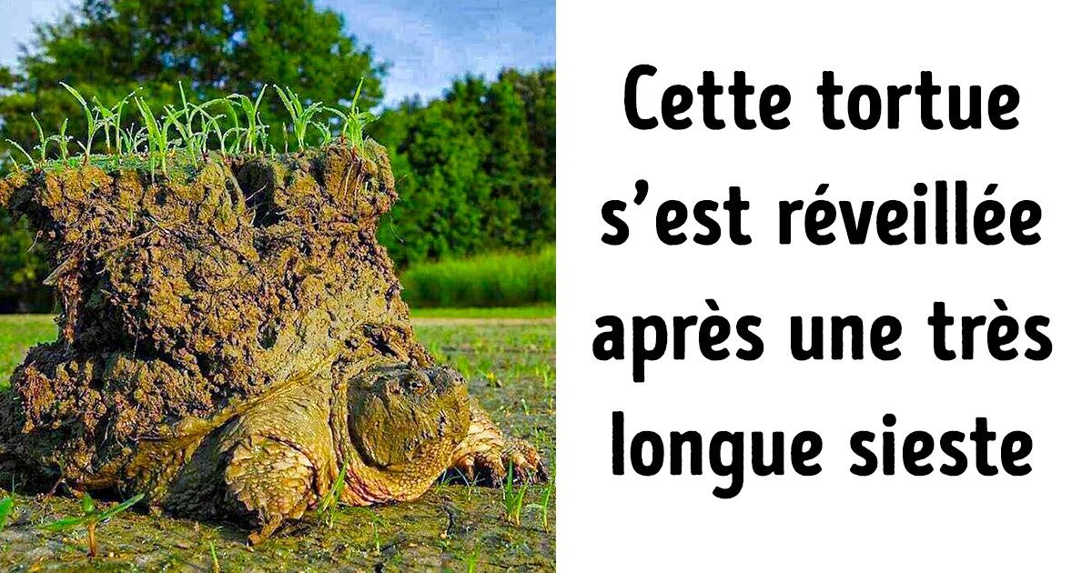 21 Photos qui t’aideront sûrement à mieux comprendre le monde 21 Photos qui t’aideront sûrement à mieux comprendre le monde