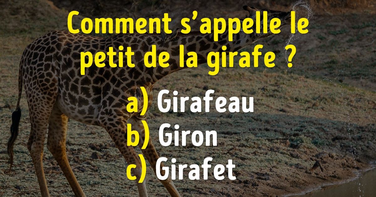 Test : Devine comment on appelle les petits de ces animaux Test : Devine comment on appelle les petits de ces animaux