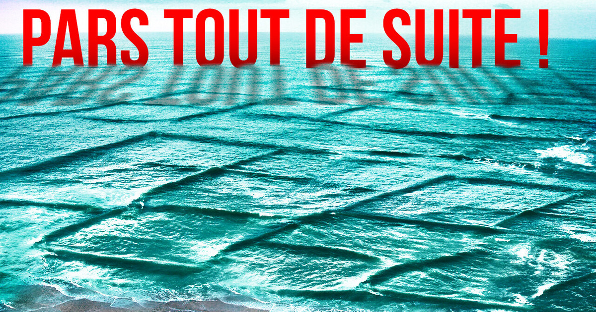 Si tu vois des vagues carrées, sors de l’eau immédiatement ! Si tu vois des vagues carrées, sors de l’eau immédiatement !