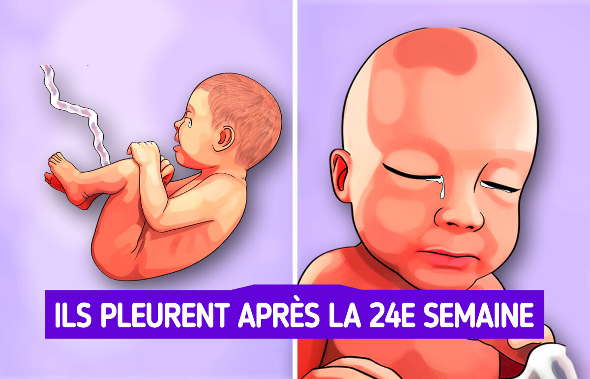 Voici quelques faits sur les bébés que tu ignorais sans doute Voici quelques faits sur les bébés que tu ignorais sans doute
