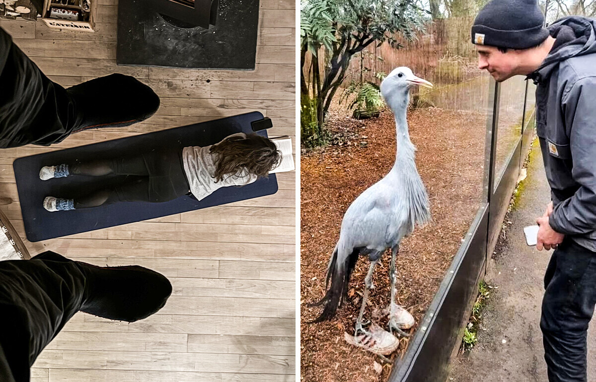15 Photos qui correspondent parfaitement à l’expression “les apparences sont parfois trompeuses”