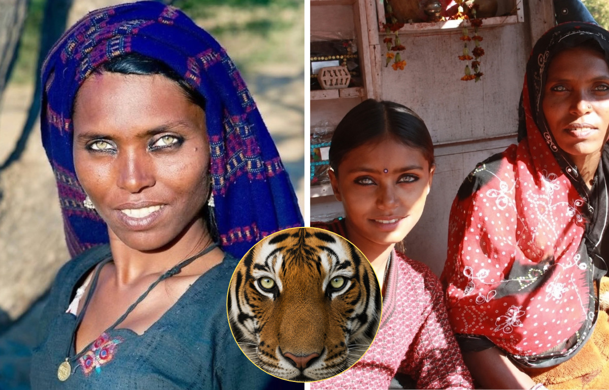 Elle est devenue célèbre grâce à ses yeux de " tigresse " : des années plus tard, sa fille a hérité du même regard Elle est devenue célèbre grâce à ses yeux de " tigresse " : des années plus tard, sa fille a hérité du même regard