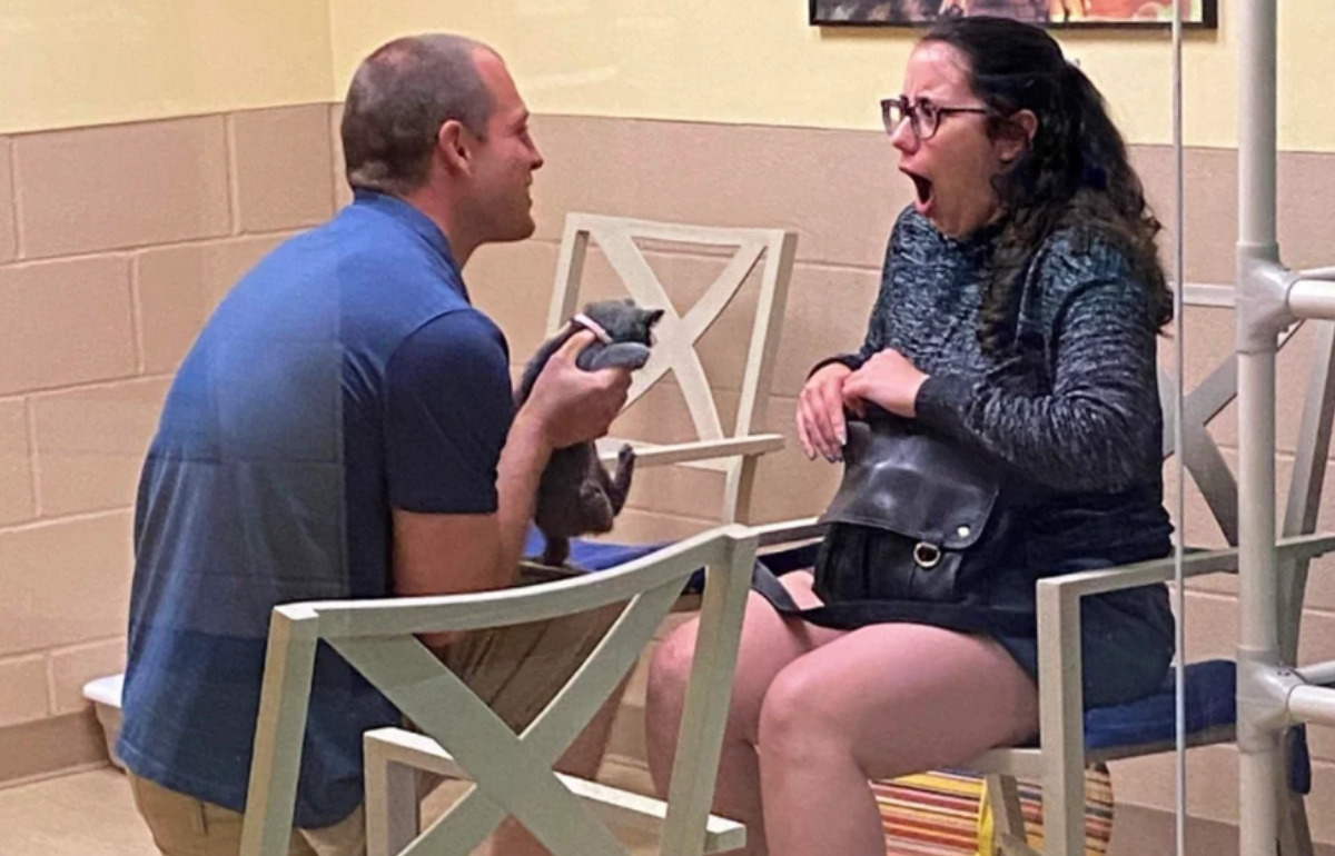 Un homme demande sa compagne en mariage avec un chaton, faute de pouvoir acheter une bague