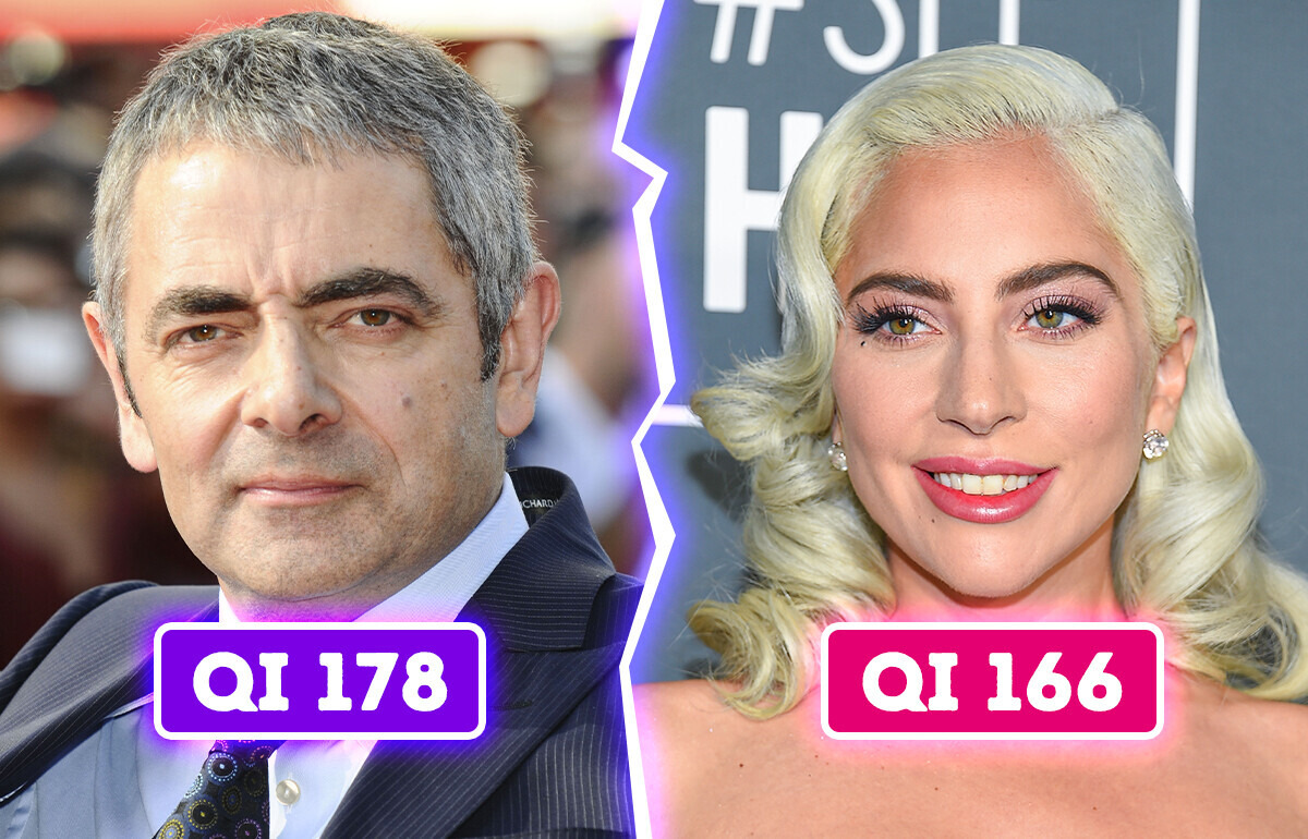 8 Stars hollywoodiennes connues pour leur QI impressionnant