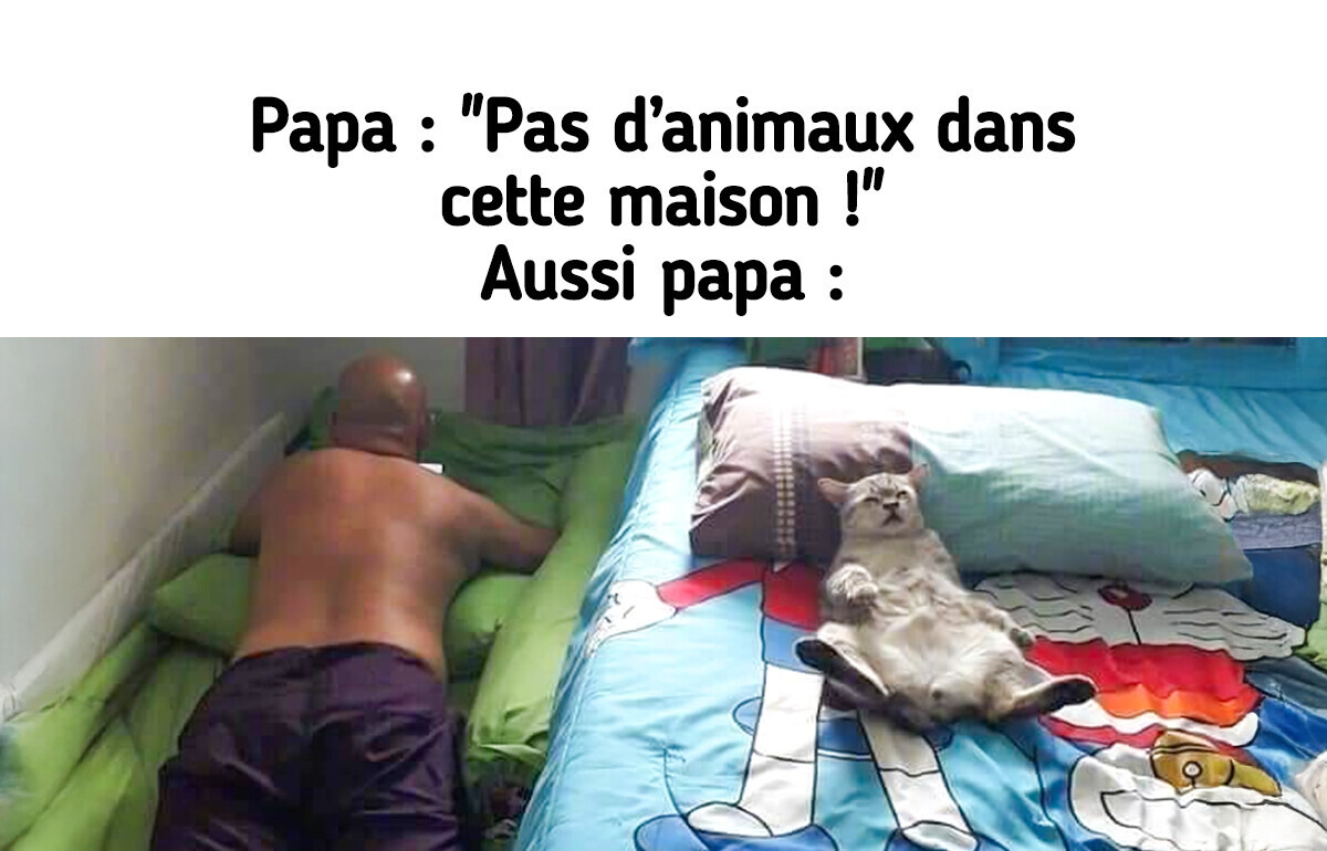 24 Photos qui prouvent que les animaux conquièrent tous les cœurs