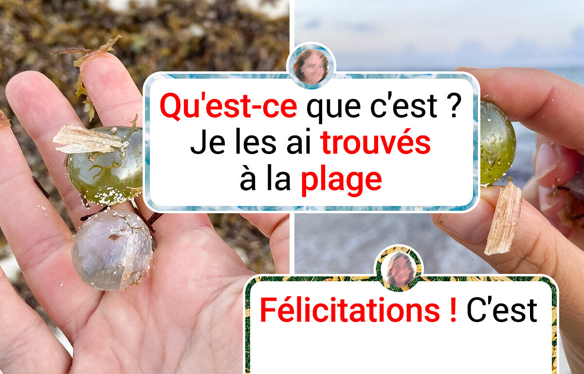 12 Découvertes étonnantes qui vont changer ta vision de la réalité