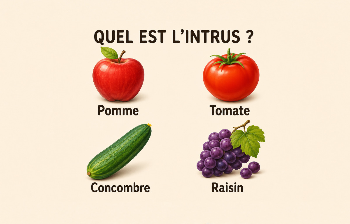 Trouve l’intrus en faisant appel à ta logique