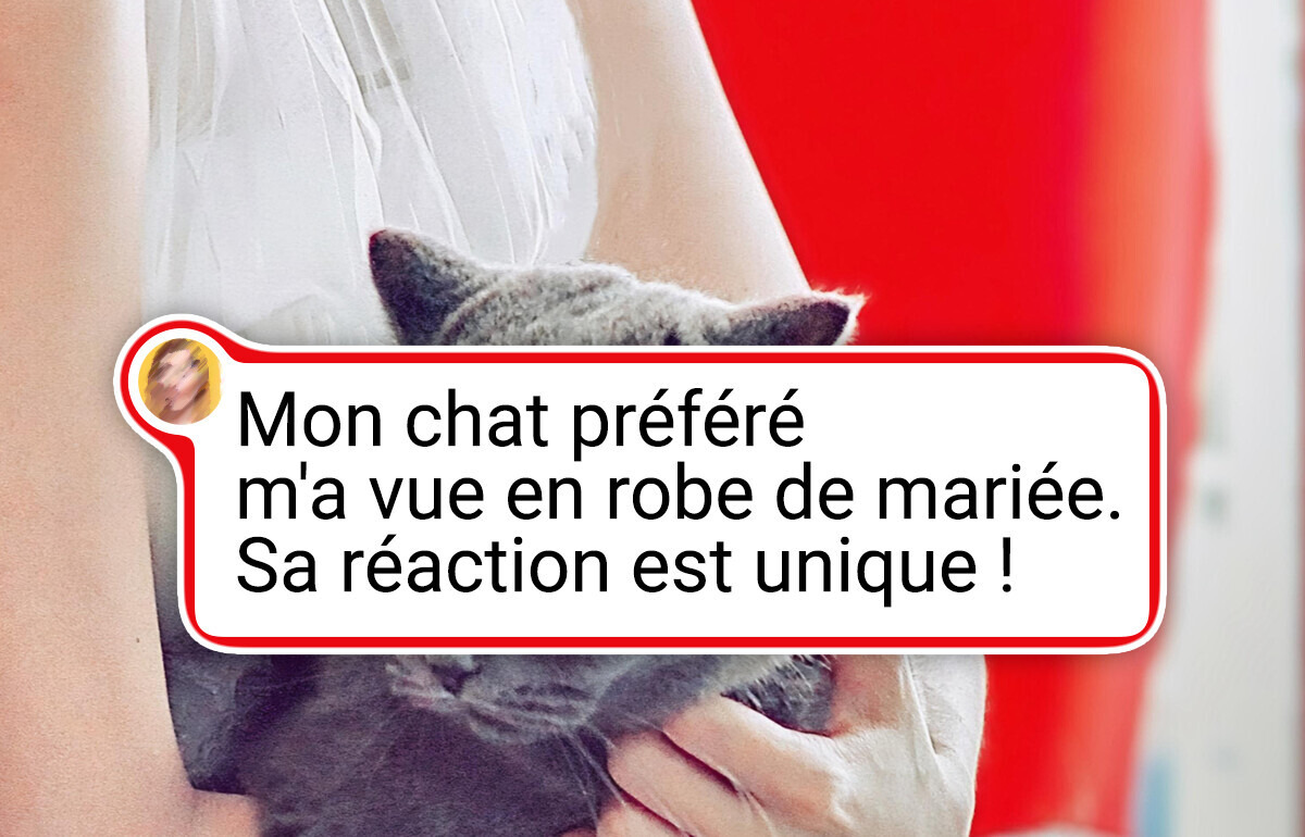 20 Animaux adorables qui vont te redonner le sourire pour la journée