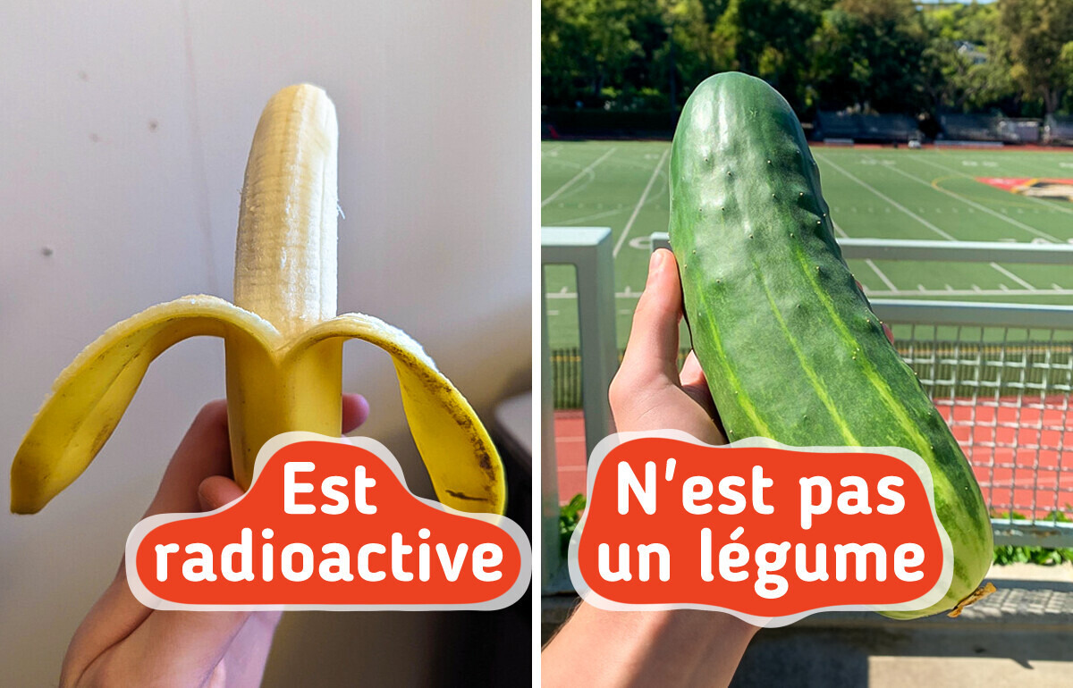 10 Faits méconnus sur ces choses que l’on croise pourtant tous les jours 10 Faits méconnus sur ces choses que l’on croise pourtant tous les jours