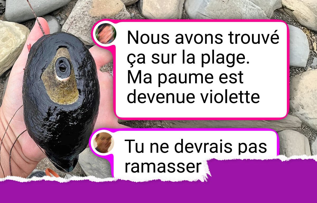 20+ Personnes qui ont découvert un vrai miracle de la nature