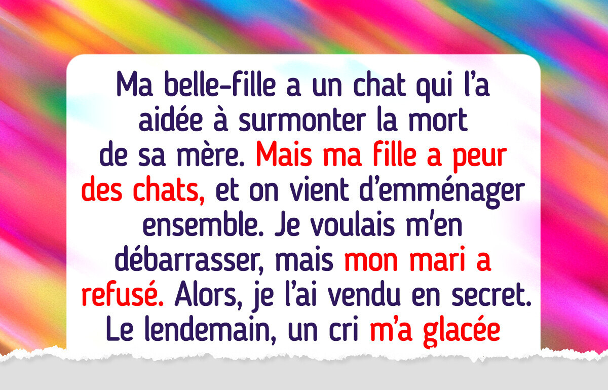 J’ai secrètement vendu le chat de ma belle-fille parce que ma fille en avait peur, mais tout a dégénéré J’ai secrètement vendu le chat de ma belle-fille parce que ma fille en avait peur, mais tout a dégénéré