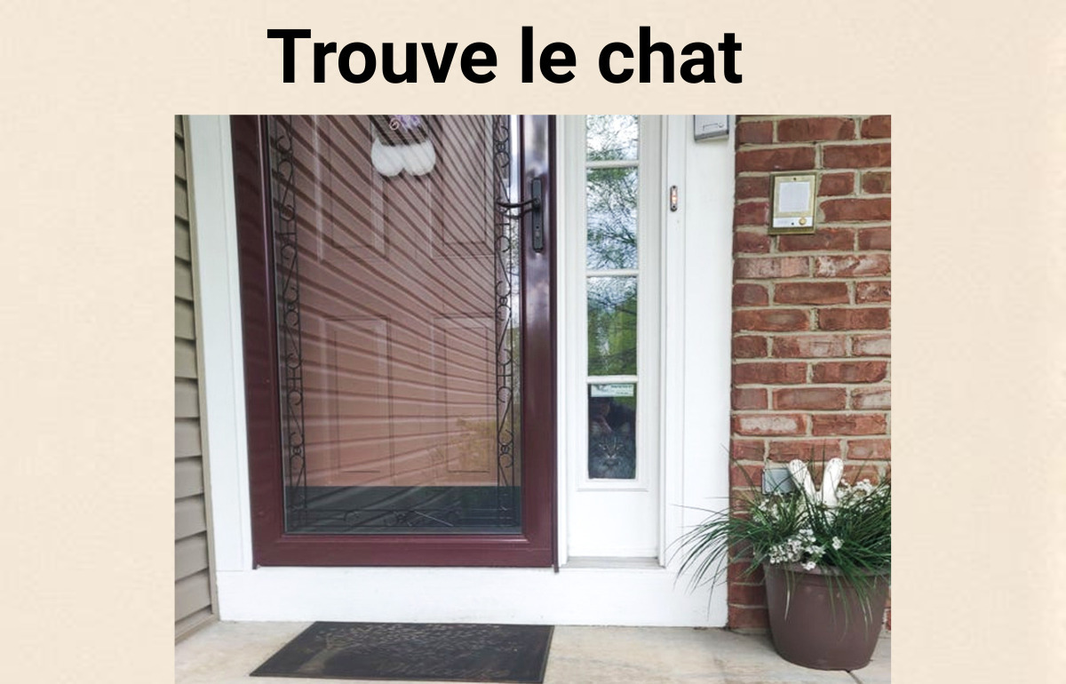 Deviens un champion de l’observation en cherchant les chats cachés