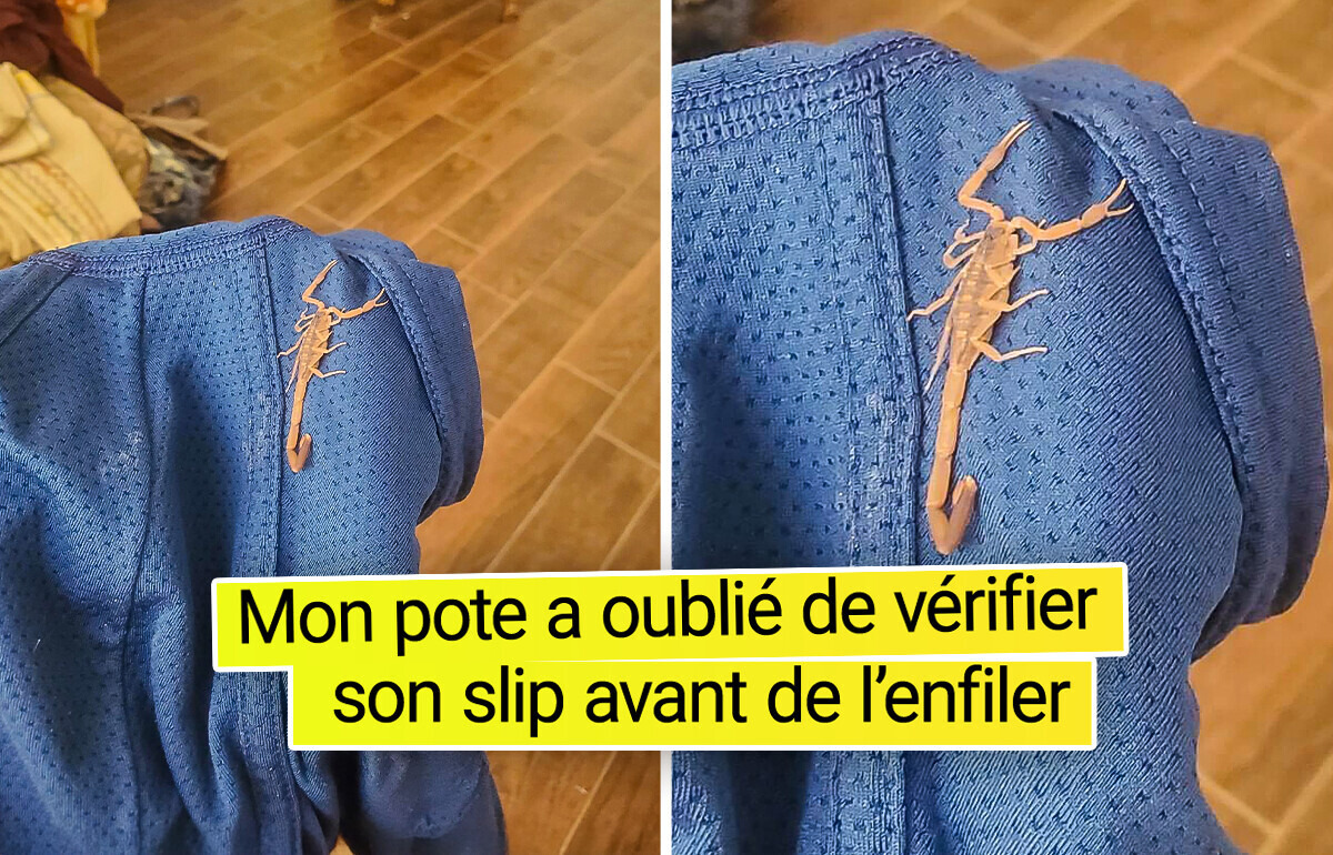 18 Personnes qui ont reçu une blague bien drôle de l’univers