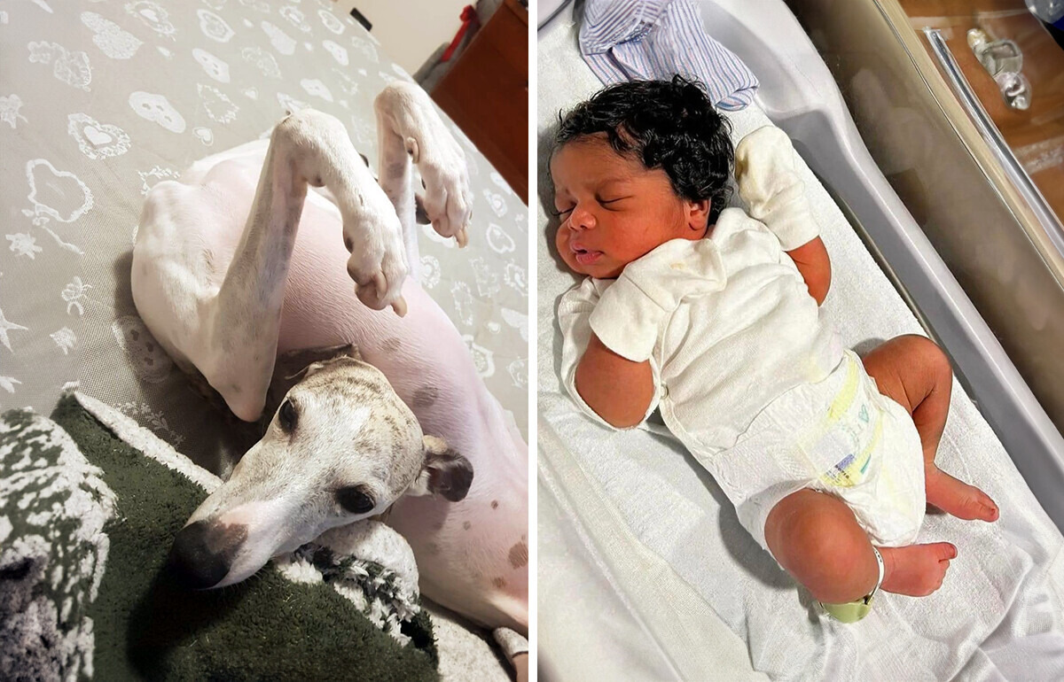 15 Photos qui sont trompeuses au coup d'œil