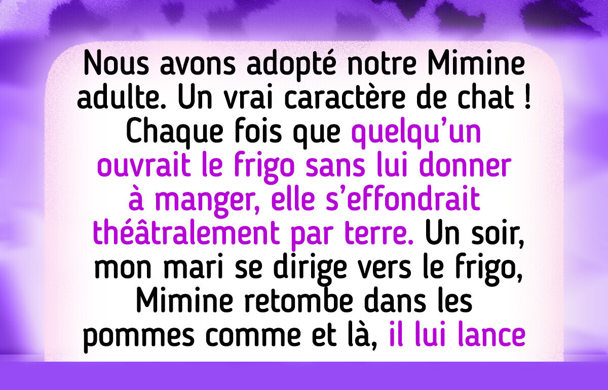 17 Animaux qui sont de vrais petits malins