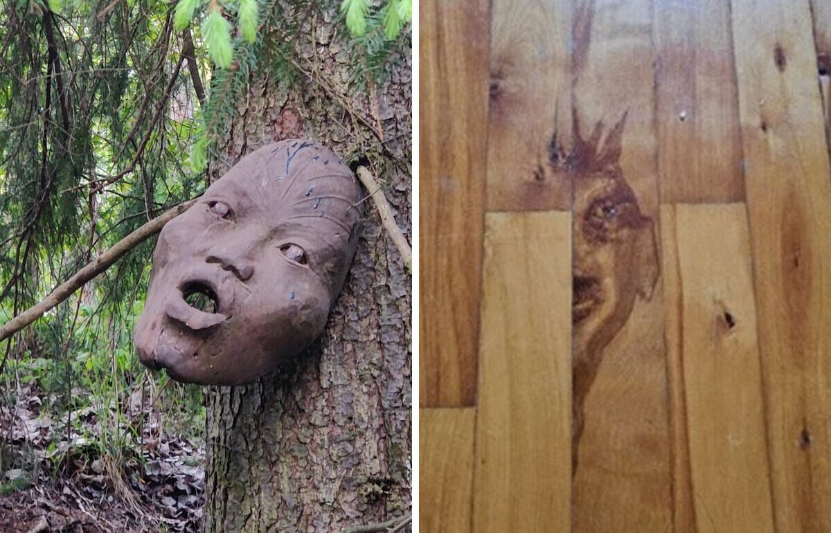 15+ Moments capturés qui donnent des frissons