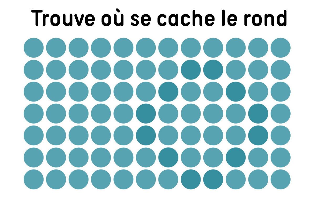 Seuls les yeux les plus attentifs trouveront les formes cachées dans ces images