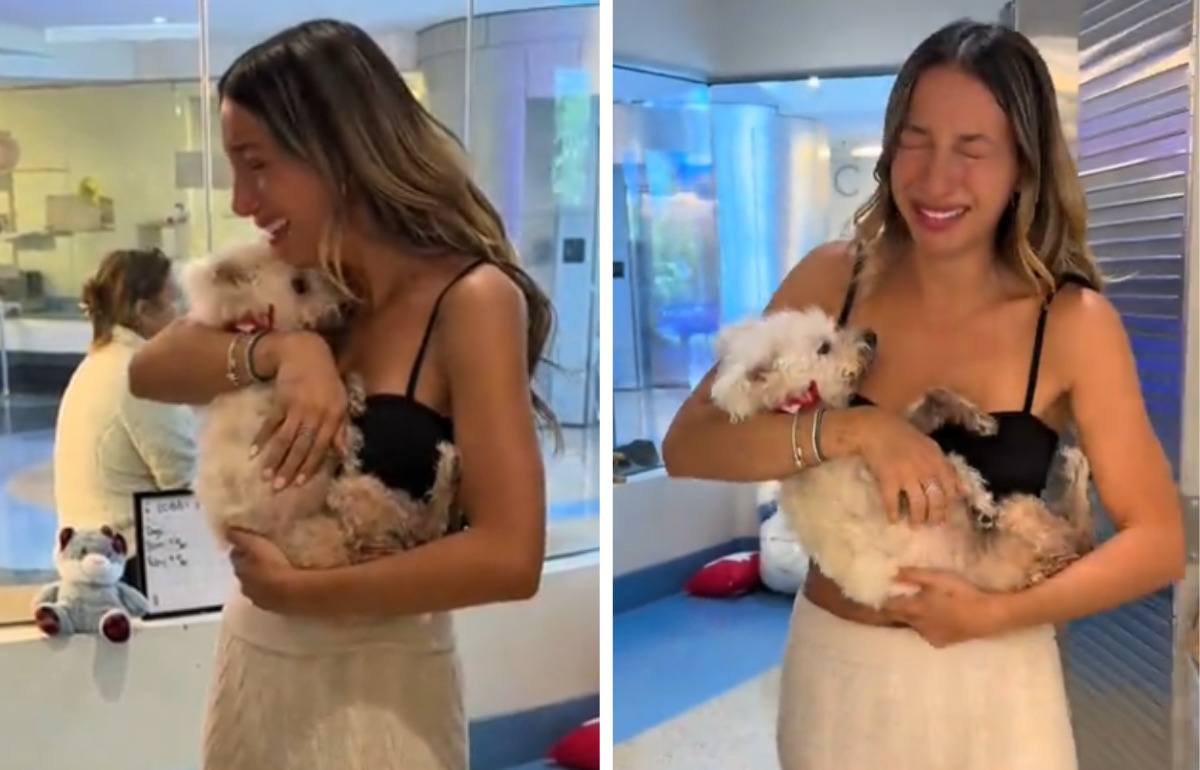 Elle pensait avoir perdu son chien pour toujours... 4 ans plus tard, un appel a tout changé