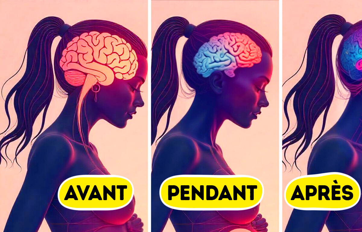 Ce que la grossesse change vraiment dans le cerveau des femmes — selon la science Ce que la grossesse change vraiment dans le cerveau des femmes — selon la science