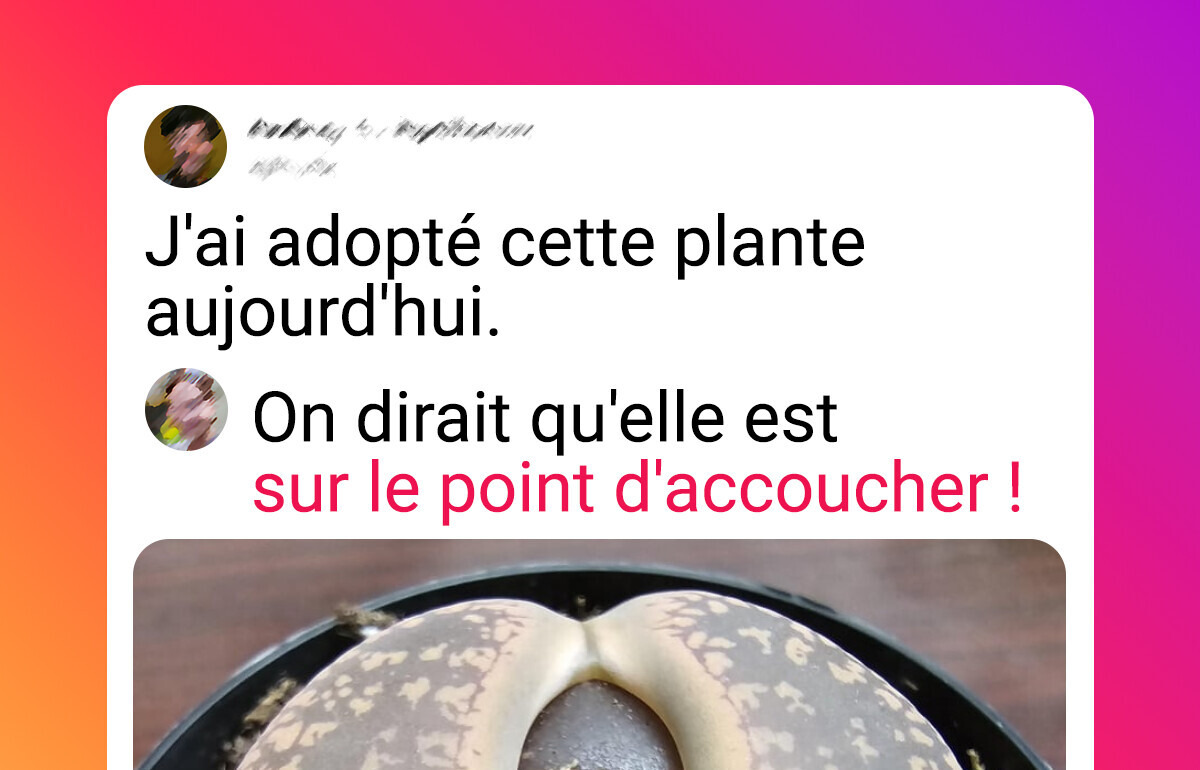 12 Fois où la nature nous a rappelé à quel point elle peut être déroutante