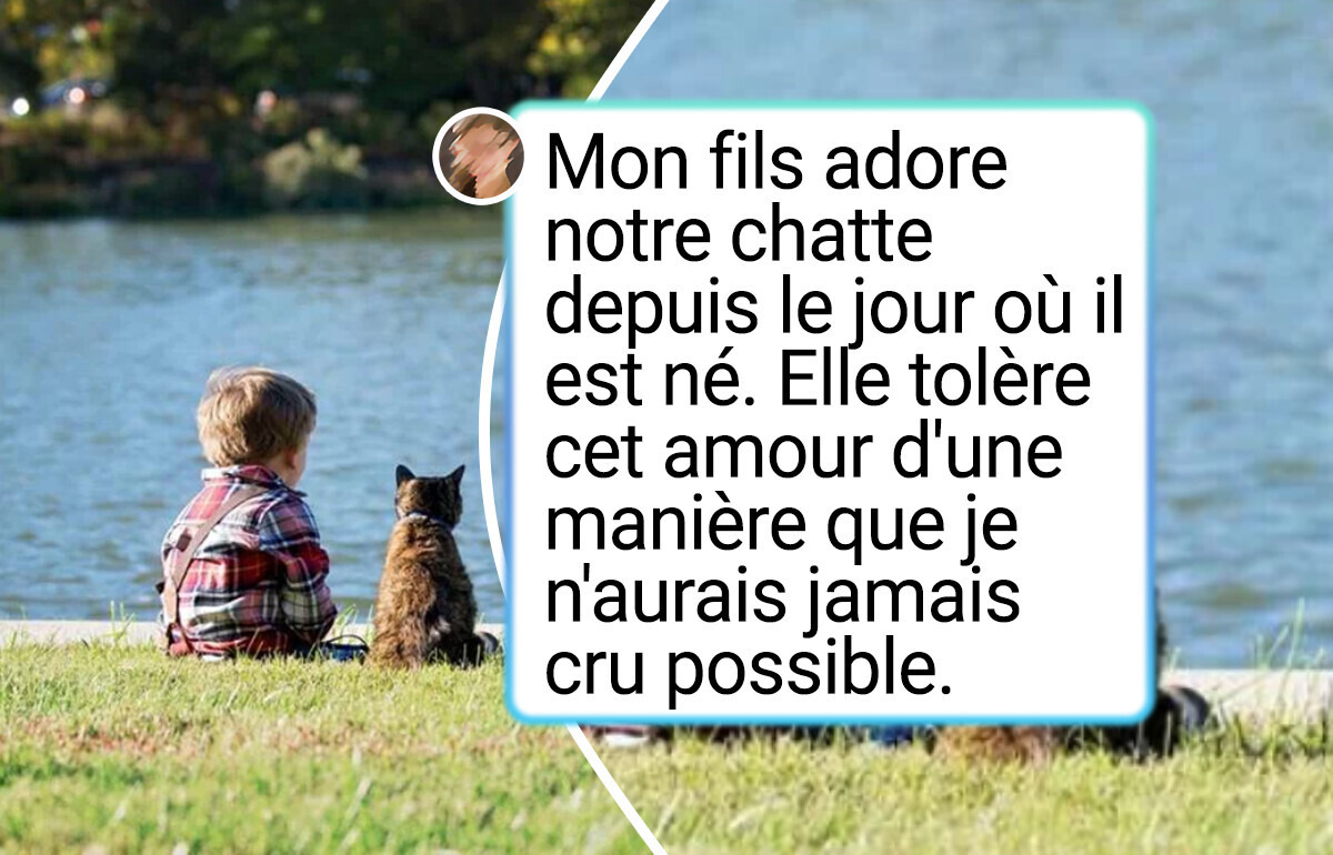 18 Photos d’animaux qui vont te mettre de bonne humeur